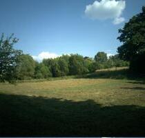 Wiesenfläche zur Pacht - 150,00 EUR Kaltmiete, ca.  0,00 m² in Schmallenberg (PLZ: 57392)