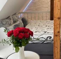 Ferienwohnung in Erfurt 