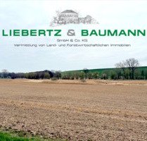 Landwirtschaftliche Flächen in Nordsachsen - Wermsdorf