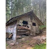 Haus mit Grundstück Einfamilienhaus - Waldbröl