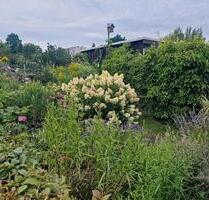 Wunderschöner Kleingarten in FG Nähe B101 - Freiberg