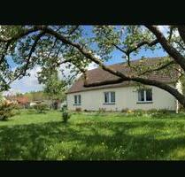 coliving bis Mai oder länger - 500,00 EUR Kaltmiete, in Burg Stargard (PLZ: 17094)