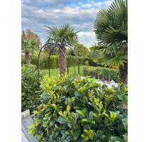 Gartengrundstücke zu Verpachten Gräselberg Biebrich - Wiesbaden Dotzheim