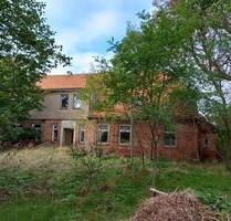 Haus, Grundstück, Mehrfamilienhaus, Doppelhaus - Crivitz