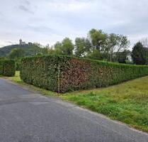 Großer Garten zu verpachten - 150,00 EUR Kaltmiete, ca.  0,00 m² in Nassau (PLZ: 56377)
