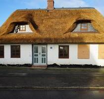 EFH Einfamilienhaus Reetdachhaus 100m2 WF 350m2 Grundstück - Wester-Ohrstedt