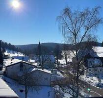 1 Wohnung 2 Apartmens - 189.000,00 EUR Kaufpreis, in Furtwangen im Schwarzwald (PLZ: 78120)