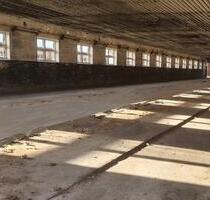 Halle in Randlage von 04509 Delitzsch zu vermieten