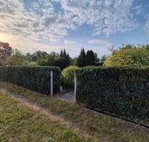Schrebergarten in Winsen abzugeben - Winsen (Luhe)