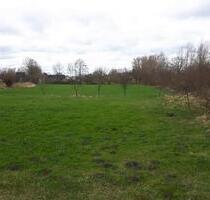 Grundstück, Wiese, (noch) kein Bauland, Hamm Braam 10.500qm - Schöppingen