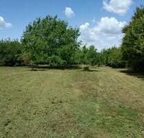 Gartengrundstück zu pachten - 430,00 EUR Kaltmiete, ca.  0,00 m² in Moers (PLZ: 47447) Schwafheim
