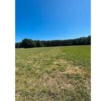 Zu verpachten: Ackerland - 600,00 EUR Kaltmiete, ca.  0,00 m² in Frankfurt am Main (PLZ: 60528) Niederrad