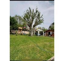 Pachtgarten in Sömmerda - 4.999,00 EUR Kaltmiete, ca.  0,00 m² in Sömmerda (PLZ: 99610)