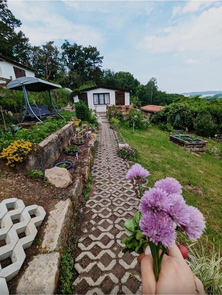 Garten mit schöner Aussicht - 5,00 EUR Kaltmiete, ca.  0,00 m² in Pirna (PLZ: 01796)