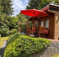 Garten Kleingarten mit Bungalow - Zwickau Neuplanitz