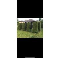 Kleingarten - 1.800,00 EUR Kaltmiete, ca.  0,00 m² in Sandersdorf-Brehna (PLZ: 06796) Torna
