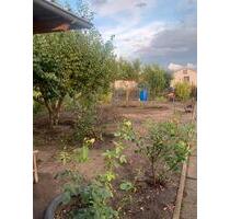 Pacht garten - 1.000,00 EUR Kaltmiete, ca.  0,00 m² in Merseburg (PLZ: 06217)