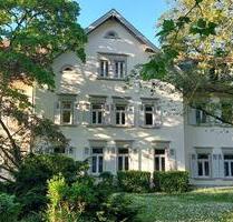 Traumhafte 1 Zi Wohnung mit Neckarblick in Heidelberg