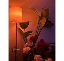 Liebevoll eingerichtete Einzimmerwohnung in Nymphenburg für Nov - München Neuhausen-Nymphenburg