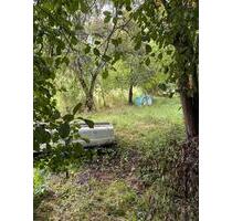 Gartengrundstück zu verpachten - 500,00 EUR Kaltmiete, ca.  0,00 m² in Hollenstedt (PLZ: 21279)