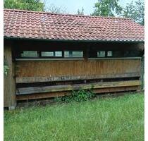 Bienenhaus mit Obstwiese zum Pachten - Rattelsdorf
