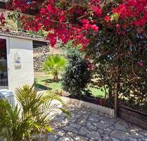 Ferienwohnung Teneriffa - Icod - 40,00 EUR Kaltmiete, in Siegburg (PLZ: 53721)
