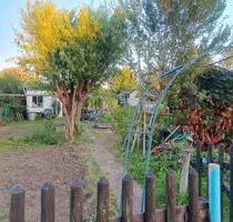 Garten 200m2 - 990,00 EUR Kaltmiete, ca.  0,00 m² in Leipzig (PLZ: 04159) Nordwest