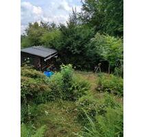 Gartengrundstück Freizeitgrundstück Gemüsegarten (Schrebergarten) - Bielefeld Schildesche
