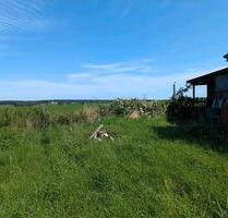ruhiges Gartengrundstück abzugeben - Meißen