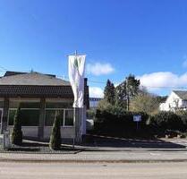 Moderne Eifel Praxis - 750,00 EUR Kaltmiete, ca.  45,00 m² in Antweiler (PLZ: 53533)