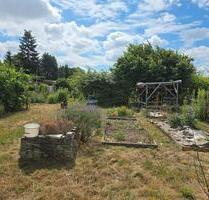 Riesiger Garten abzugeben, perfekt als Gemeinschaftsgarten! - Leipzig Ost