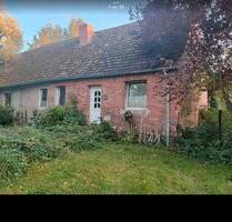 Haus Reihenhaus Törpin Sarow Mecklenburg Mietkauf - Borrentin