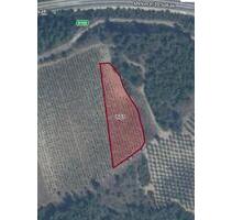 GRUNDSTÜCK IN DER TÜRKEI ZU VERKAUFEN - Ludwigshafen am Rhein