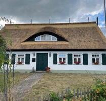 Reetgedecktes Einfamilienhaus auf Usedom zu vermieten - Korswandt