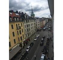 ZIMMER in einer Mietwohnung zur Untermiete - München Maxvorstadt