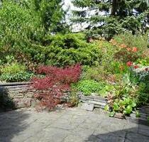 2-Zimmer Single-Wohnung möbliert im Grünen, absolut ruhig - Adorf/Vogtland