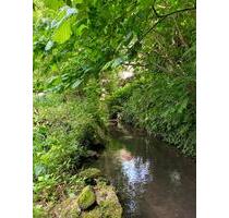 Einzigartiges Grundstück m. sanierungsbedürftigem Haus u. Scheune - Schladen-Werla