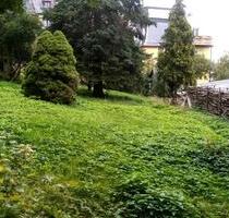 Garten-Grundstück-Haustiere - 123,00 EUR Kaltmiete, ca.  0,00 m² in Pöhl (PLZ: 08543)
