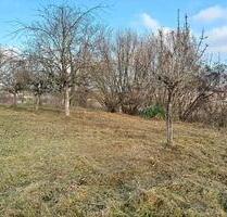 StrebersgartenGartenGrundstückBlumenwiese - Ettenheim