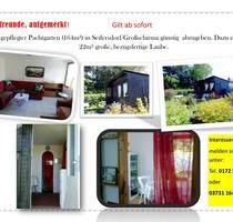 Pachtgarten Kleingarten - 450,00 EUR Kaltmiete, ca.  0,00 m² in Freiberg (PLZ: 09599)
