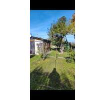 Pachtgarten - 1.200,00 EUR Kaltmiete, ca.  0,00 m² in Halberstadt (PLZ: 38820)