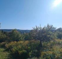 Gartengrundstück mit Obstwiese in Hanglage zu verpachten 1700qm - Bruchsal