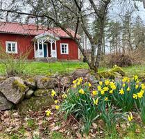 Ferienhaus Schweden Urlaub in der Natur bei Lönneberga & Vimmerby - Rückholz