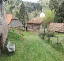 Bauernhof in Idyllischer Lage im Nationalpark Hochvogesen - Rockenhausen