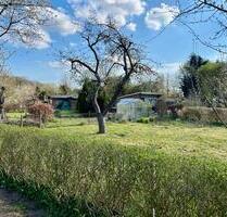 Schrebergarten (Pachtgarten) - 5.000,00 EUR Kaltmiete, ca.  0,00 m² in Lübeck (PLZ: 23568) Sankt Gertrud