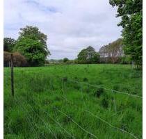 Wiese für Pferde o.Ä,. von Privat an Privat, - Quickborn