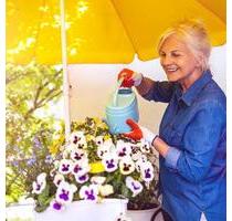 Alles neu - sofort einziehen und wohlfühlen - Neubrandenburg Carlshöhe