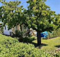 Kleingarten Pachtgarten - 4.400,00 EUR Kaltmiete, ca.  0,00 m² in Brandenburg an der Havel (PLZ: 14772) Görden