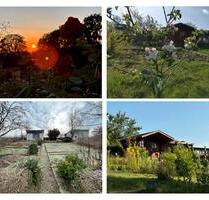 Traumlage! -Kleingarten Schrebergarten zur Pacht - Reichenbach im Vogtland