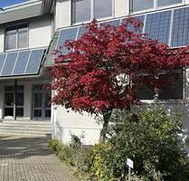 Großzügige, helle Büroetage, 355 qm ideal für Büro, Praxis etc., nahe A81 LB-Süd, Parkplätze, Lager - Ludwigsburg Pflugfelden